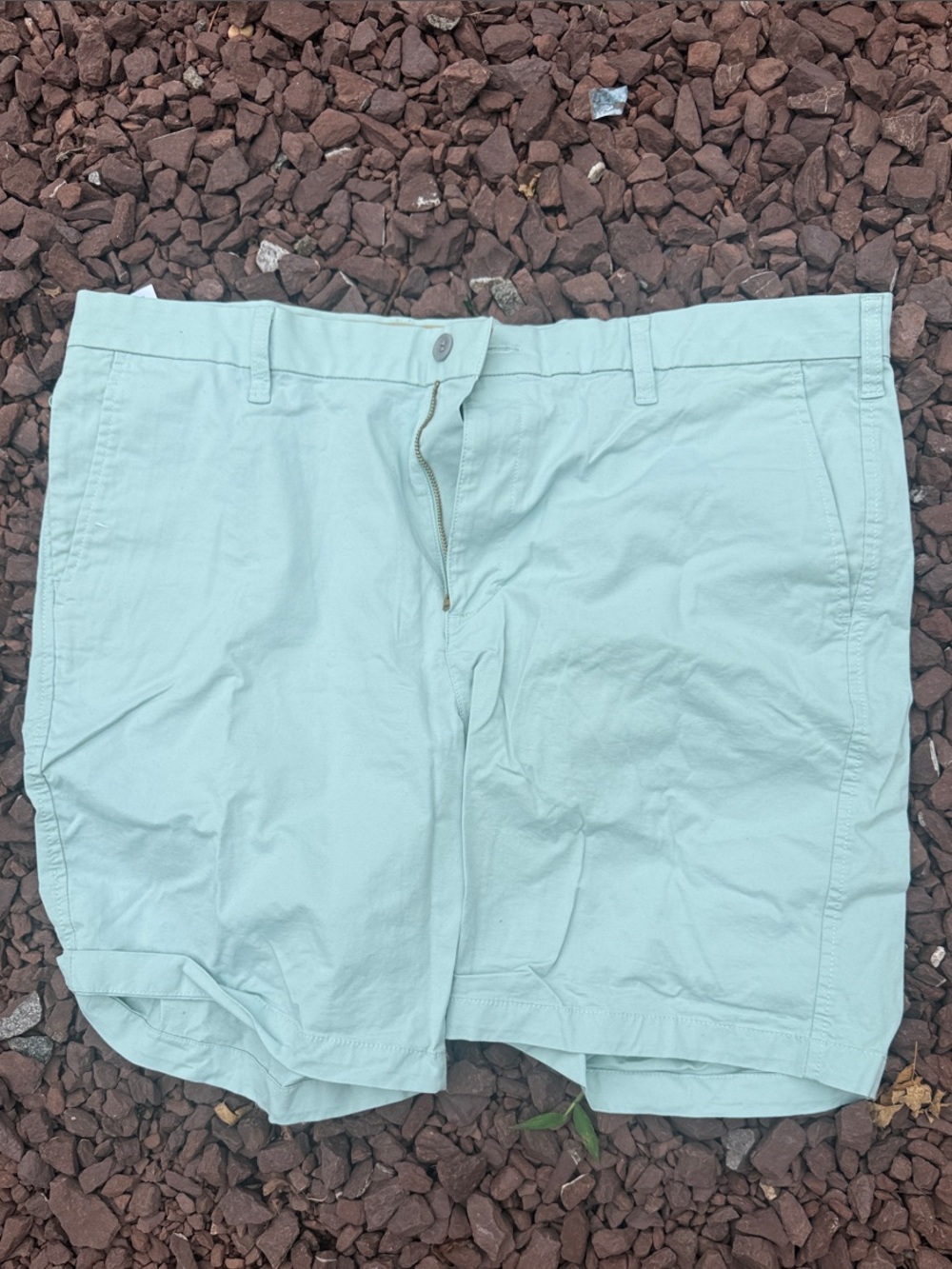 Dockers Men's Light Mint Green Flat-Front Shorts
